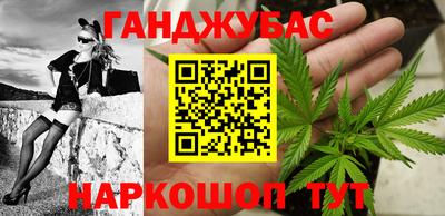 шишки Гусиноозёрск