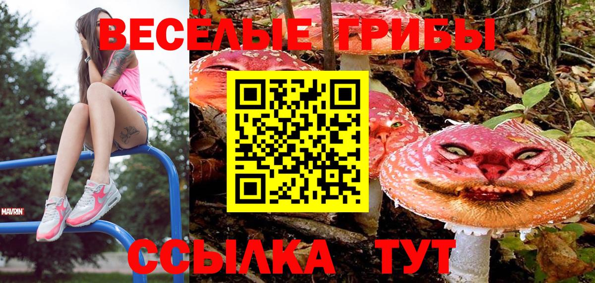 Галлюциногенные грибы GOLDEN TEACHER Курчатов