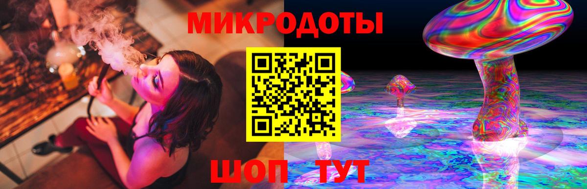 Курчатов  Галлюциногенные грибы GOLDEN TEACHER  Вход с VPN  где продают наркотики  Галлюциногенные грибы MAGIC MUSHROOMS 